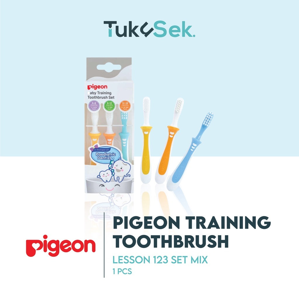PIGEON TRAINING TOOTHBRUSH LESSON | Sikat Gigi Bayi